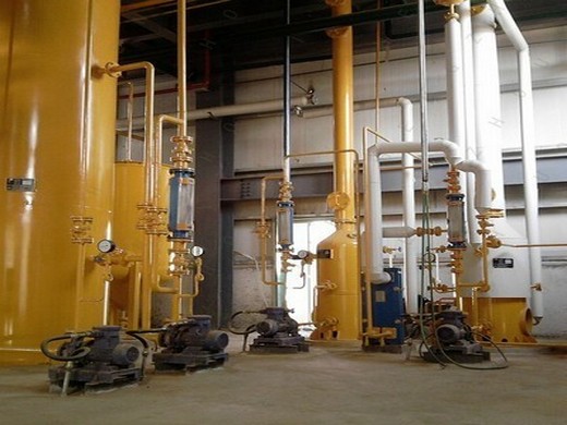 ligne d’extraction automatique multifonctionnelle d’huile de palme au Maroc