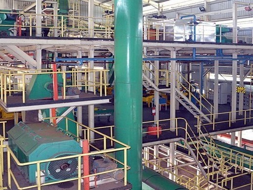 Meilleure vente de machines de moulin à huile de palme/usine d’huile de palme au Maroc