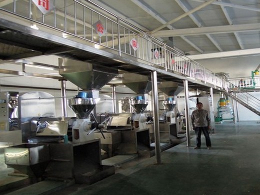 usine de presse à huile de palme prix moulin à huile en Afrique