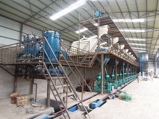 ligne de traitement d’huile de palme prix usine – machines de moulin à huile