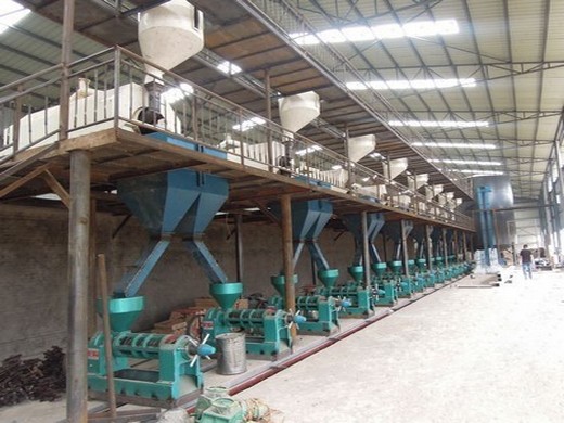 Ligne de production de presse à huile de palmiste prix usine en Côte d’Ivoire