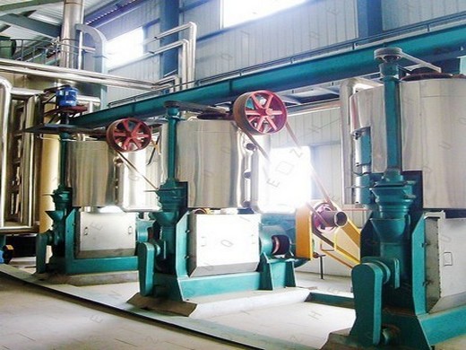 Usine d’extraction d’huile de palme pour pressage/extraction d’huile de palme au Cameroun