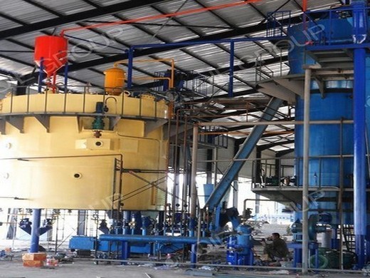 Usine de transformation d’huile de palme en Chine machine de presse à palmier au Bénin