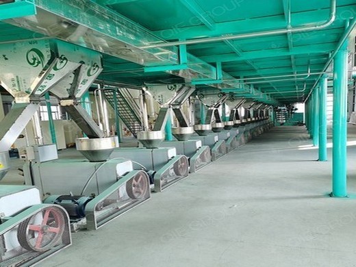 usine d’extraction d’huile de palme aux Seychelles