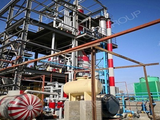 grande usine de moulin à huile de palme avancée de haute qualité