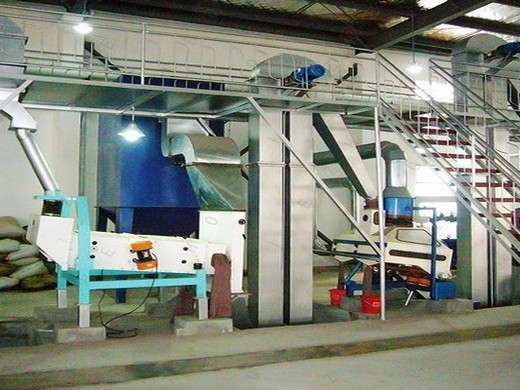 Presse à huile de palme commerciale vente d’usine grande machine au Congo