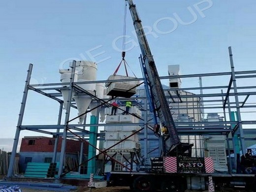 Usine de production moyenne d’huile de palme comestible de 10 à 50 tonnes/jour au Bénin