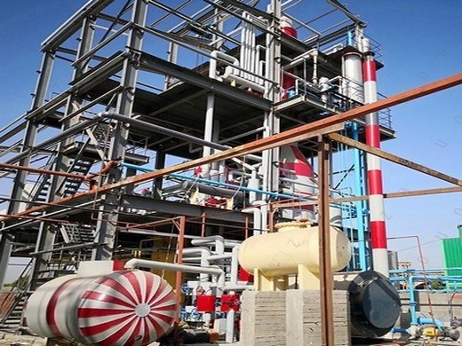 Usine d’huile de palme pour la production de presses à huile au Togo