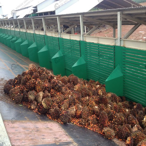 machine à huile pressée pour l’huile de palme de Guinée