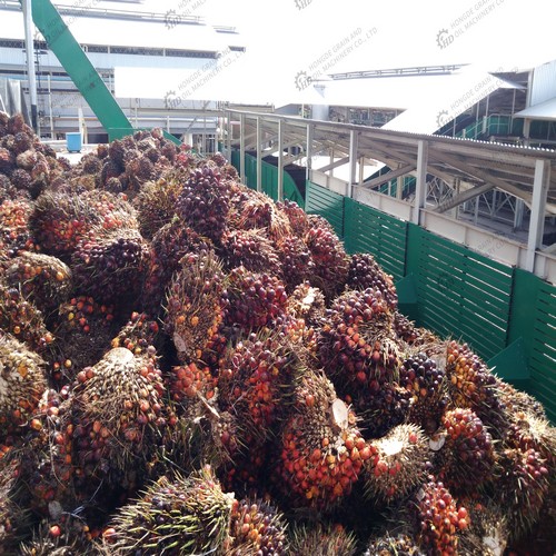 moulin à huile de palme à Adilabad au rwanda