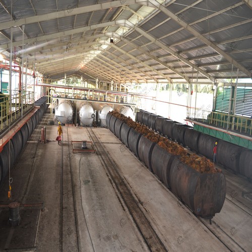 machine de fabrication d’huile de palme de projet clé en main à haute efficacité