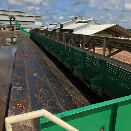 revues de machine de presse à huile de palme pour Guinée