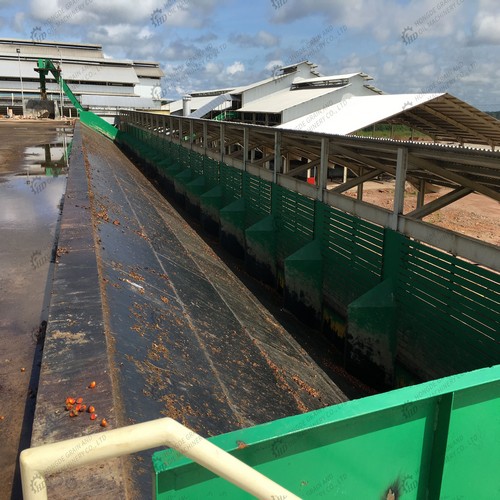 machines d’extraction de presse à huile de palme à haut rendement au Cameroun